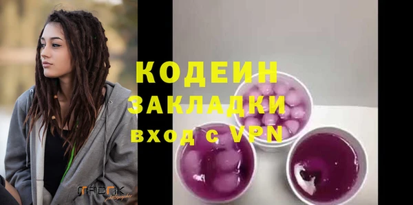 хмурый Алексин
