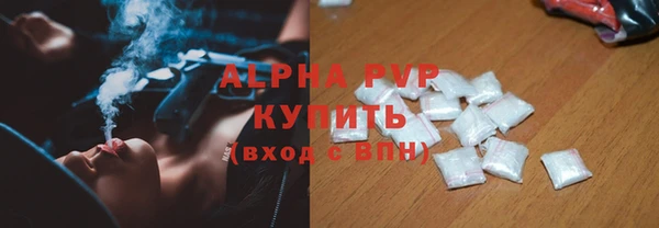 хмурый Алексин