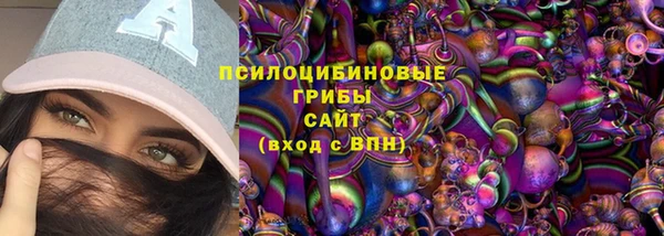 дурь Алексеевка