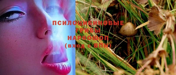 хмурый Алексин