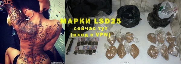 хмурый Алексин