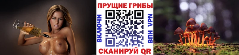Галлюциногенные грибы мицелий  Кропоткин 
