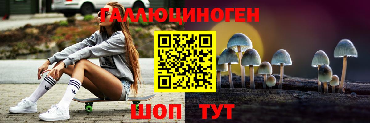 Кропоткин  Галлюциногенные грибы ЛСД  Вход с VPN 